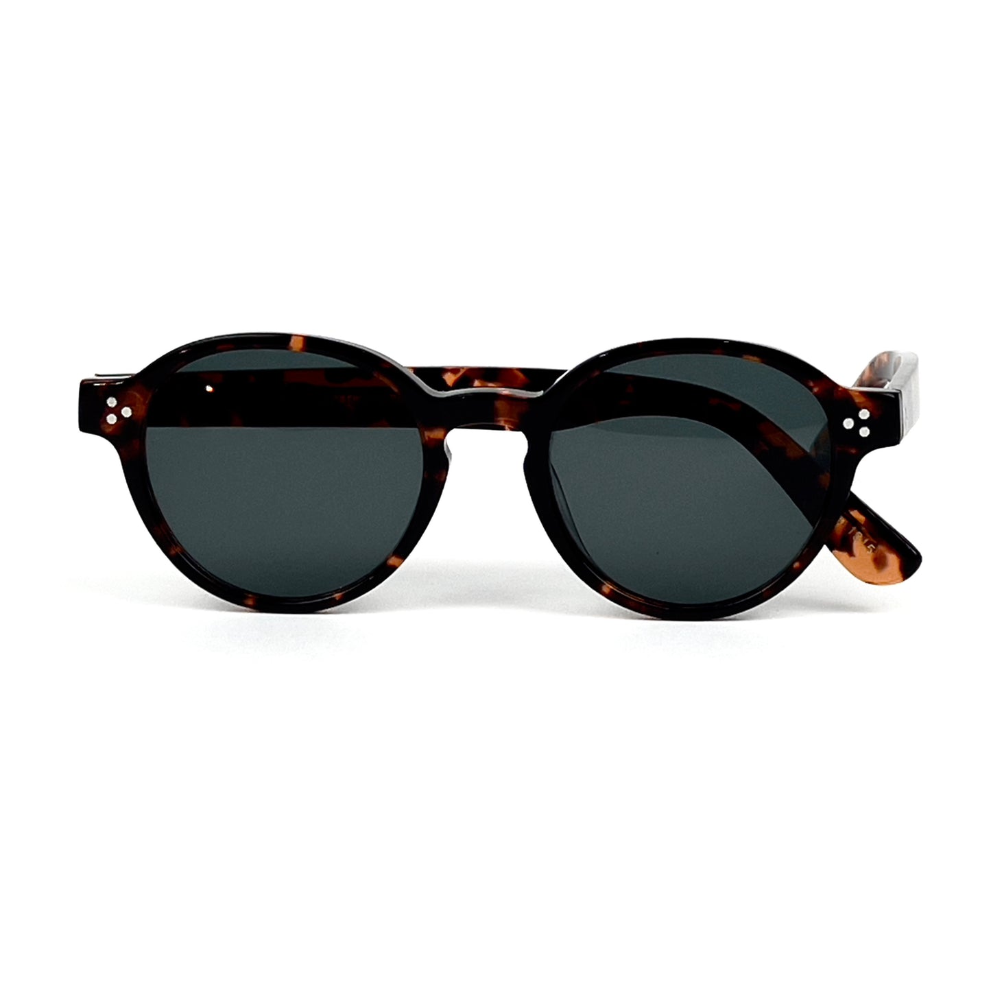 Moscot EZRA Sunglasess